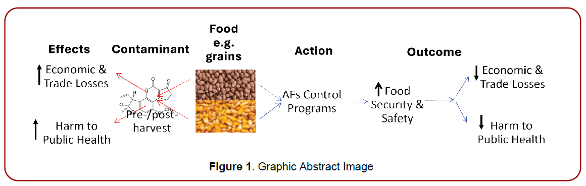 environmental-toxicology-research-graphic-abstract-image