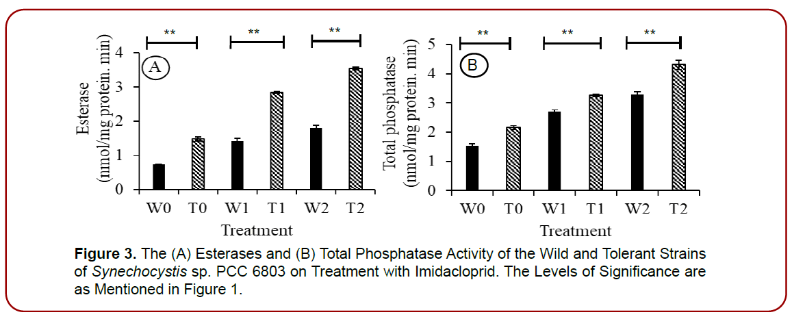 environmental-toxicology-research-tolerant-strains