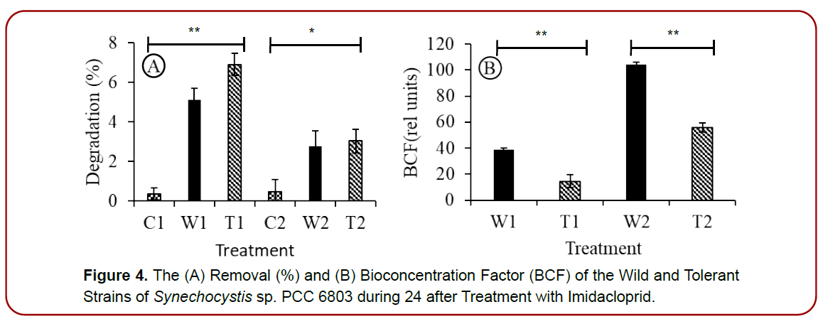 environmental-toxicology-research-tolerant-strains