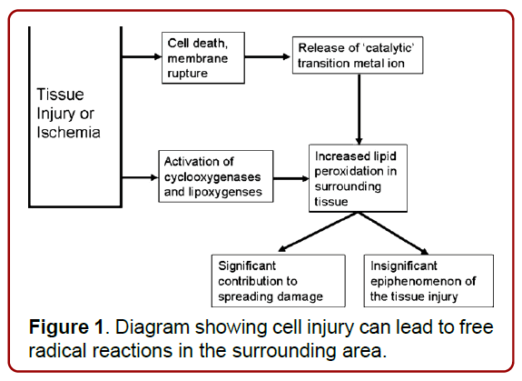 family-medicine-clinical-research-radical-reactions