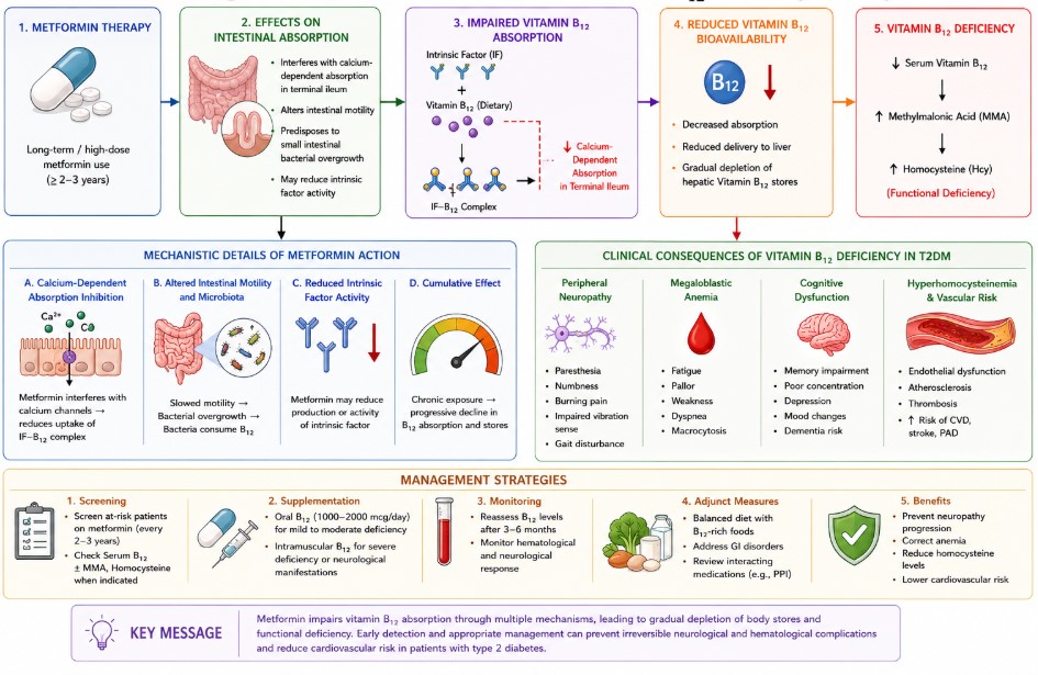 diabetes-clinical-endocrinology