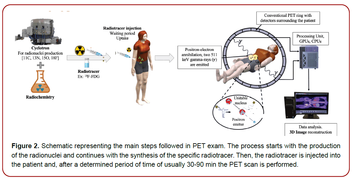 gynecology-maternal-health-gynecological-anatomy gynecology-maternal-health-gynecological-anatomy