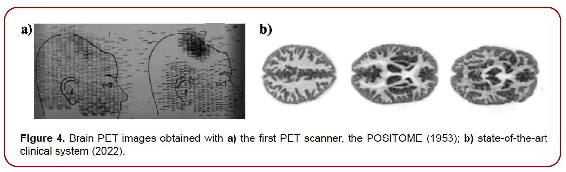 gynecology-maternal-health-gynecological-anatomy gynecology-maternal-health-gynecological-anatomy