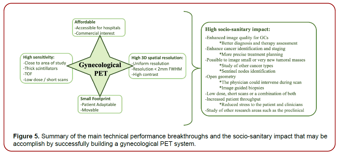 gynecology-maternal-health-gynecological-anatomy gynecology-maternal-health-gynecological-anatomy
