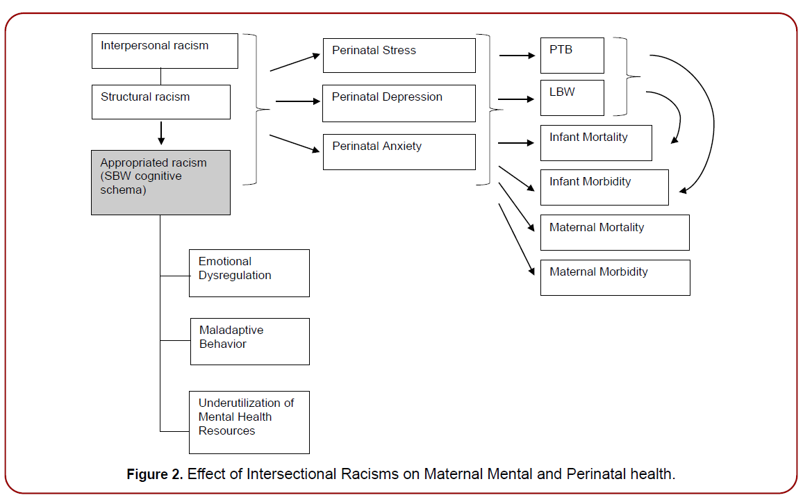gynecology-maternal-health-perinatal-health