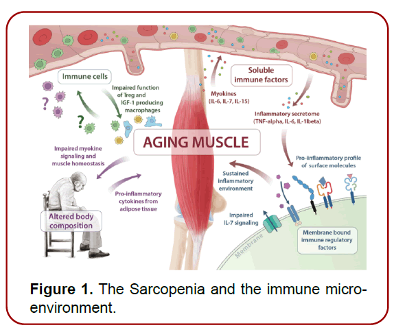 immunology-research-immunotherapy-potential-mechanisms