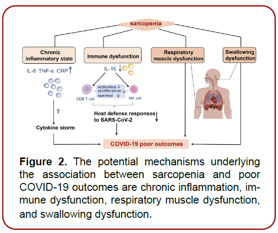 immunology-research-immunotherapy-potential-mechanisms