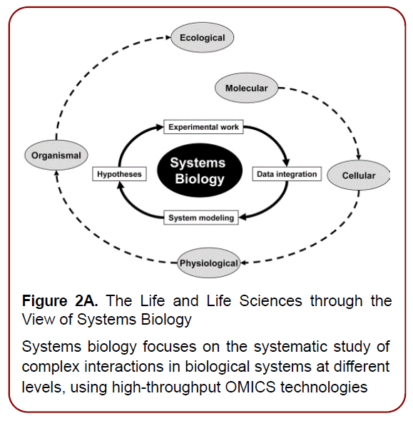 immunology-research-immunotherapy-psychosocial-factors