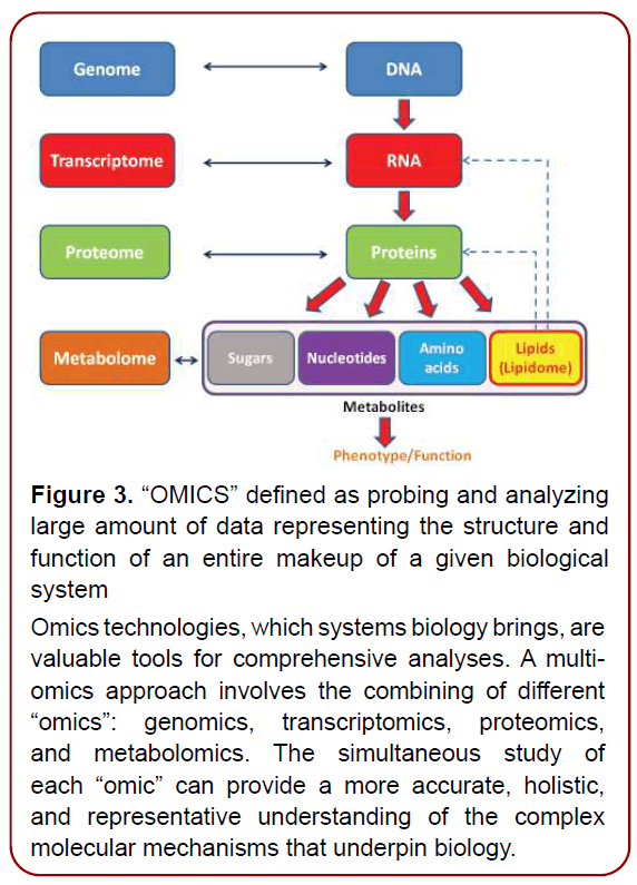 immunology-research-immunotherapy-psychosocial-factors