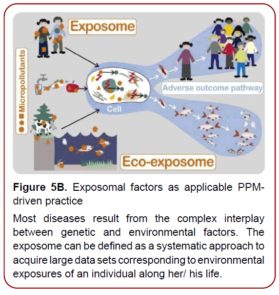 immunology-research-immunotherapy-psychosocial-factors