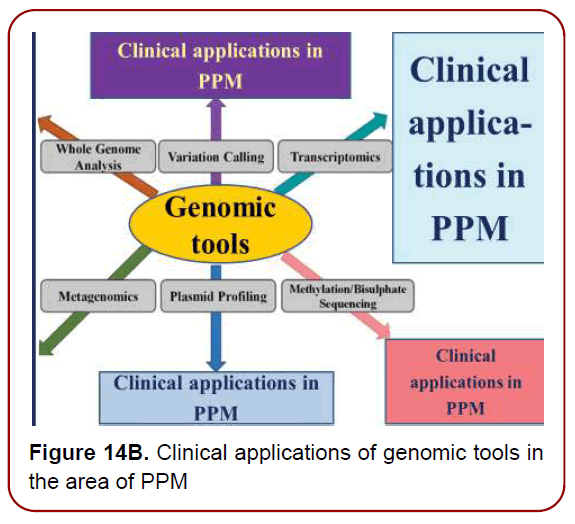 immunology-research-immunotherapy-psychosocial-factors