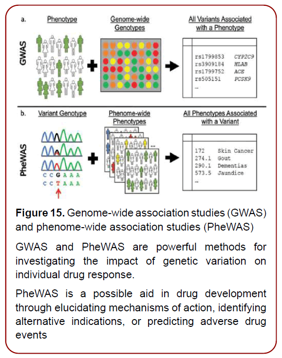 immunology-research-immunotherapy-psychosocial-factors