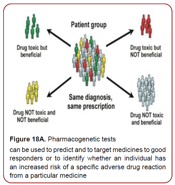 immunology-research-immunotherapy-psychosocial-factors