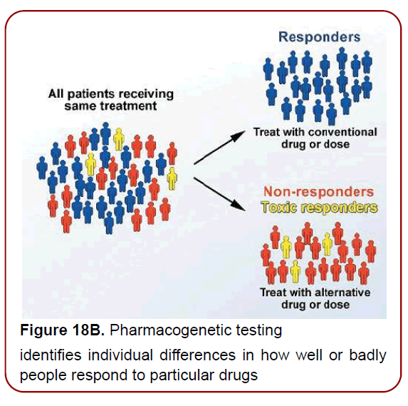 immunology-research-immunotherapy-psychosocial-factors