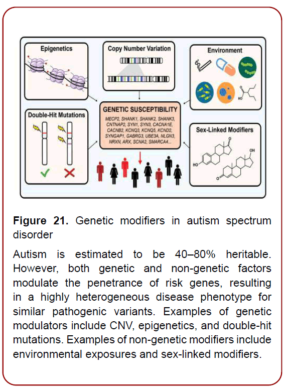 immunology-research-immunotherapy-psychosocial-factors