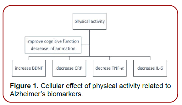 neuroimaging-neuromedicine-cellular-effect