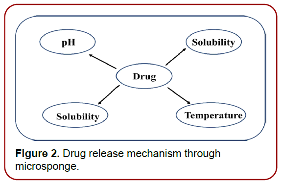 pharmacology-drug-delivery-electron-micrograph