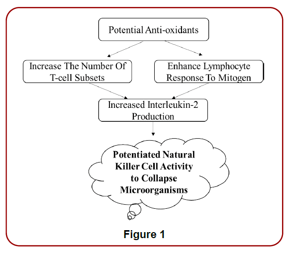 untitlednutrition-diet-management-anti-oxidant