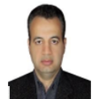 Seyed Reza Khatibi